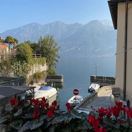 Al Molo 5 - Margaritaville