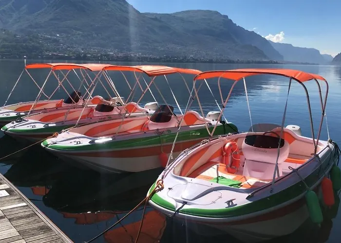 Al Molo 5 - Margaritaville